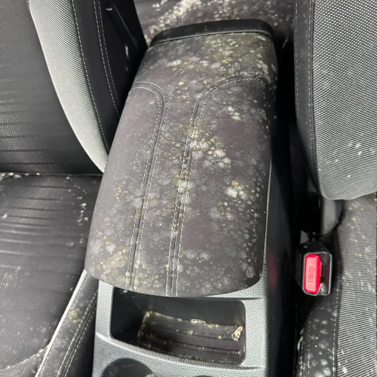 Close view of a fabric centre armrest thick with green and white mould growth, spores spread onto both front seats.