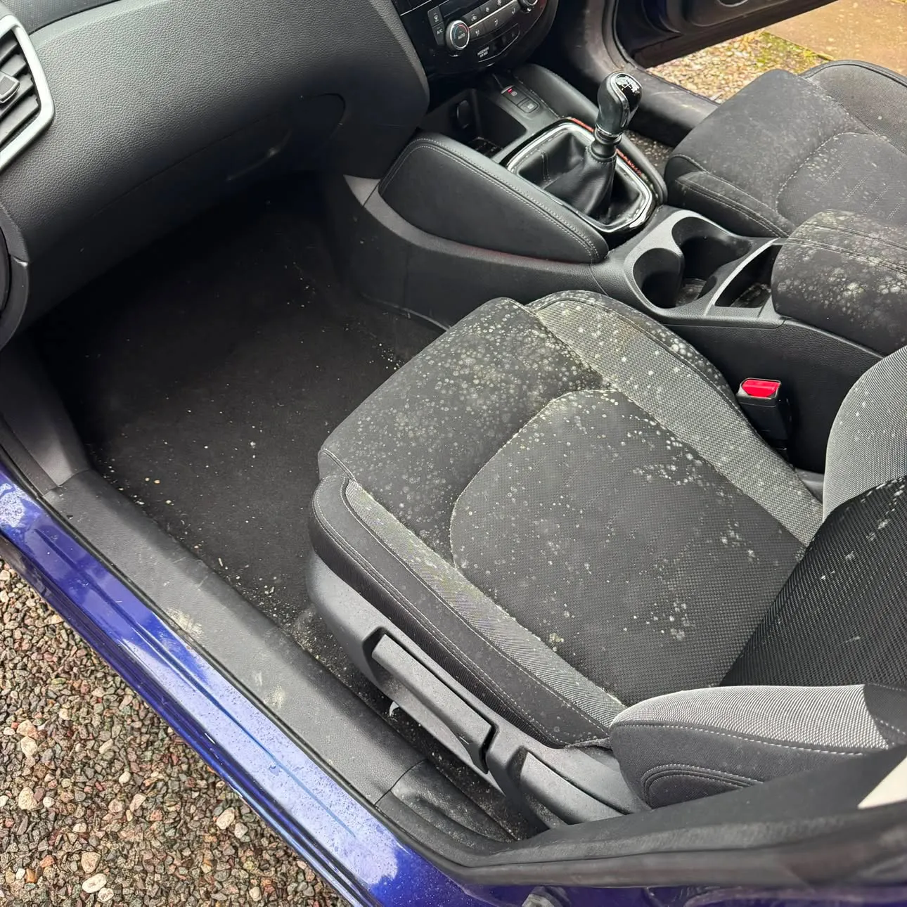 Driver's seat and footwell of the same car, mould spotted across the seat cushion and grit through the carpet.