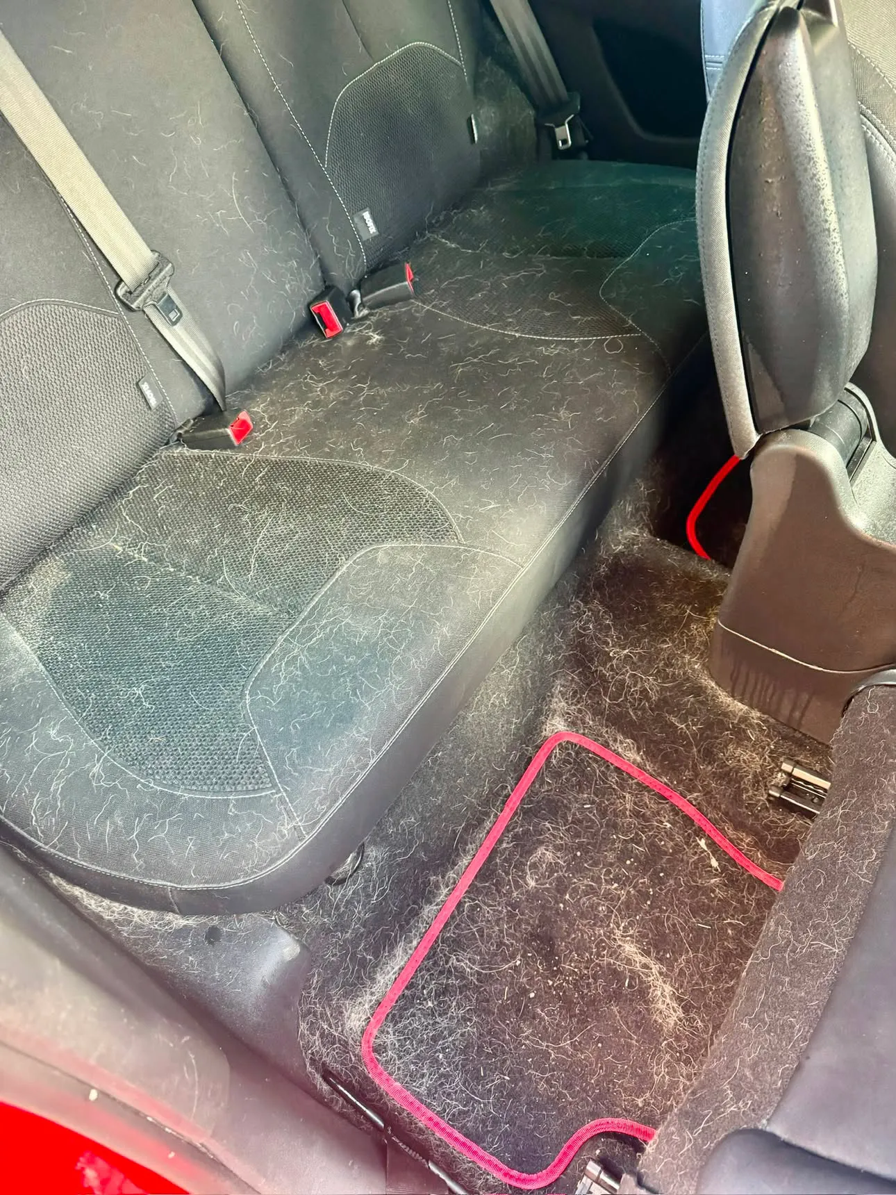 Rear seats and footwell of a red car matted with dog hair over the seat base, carpet and red-trimmed mat.